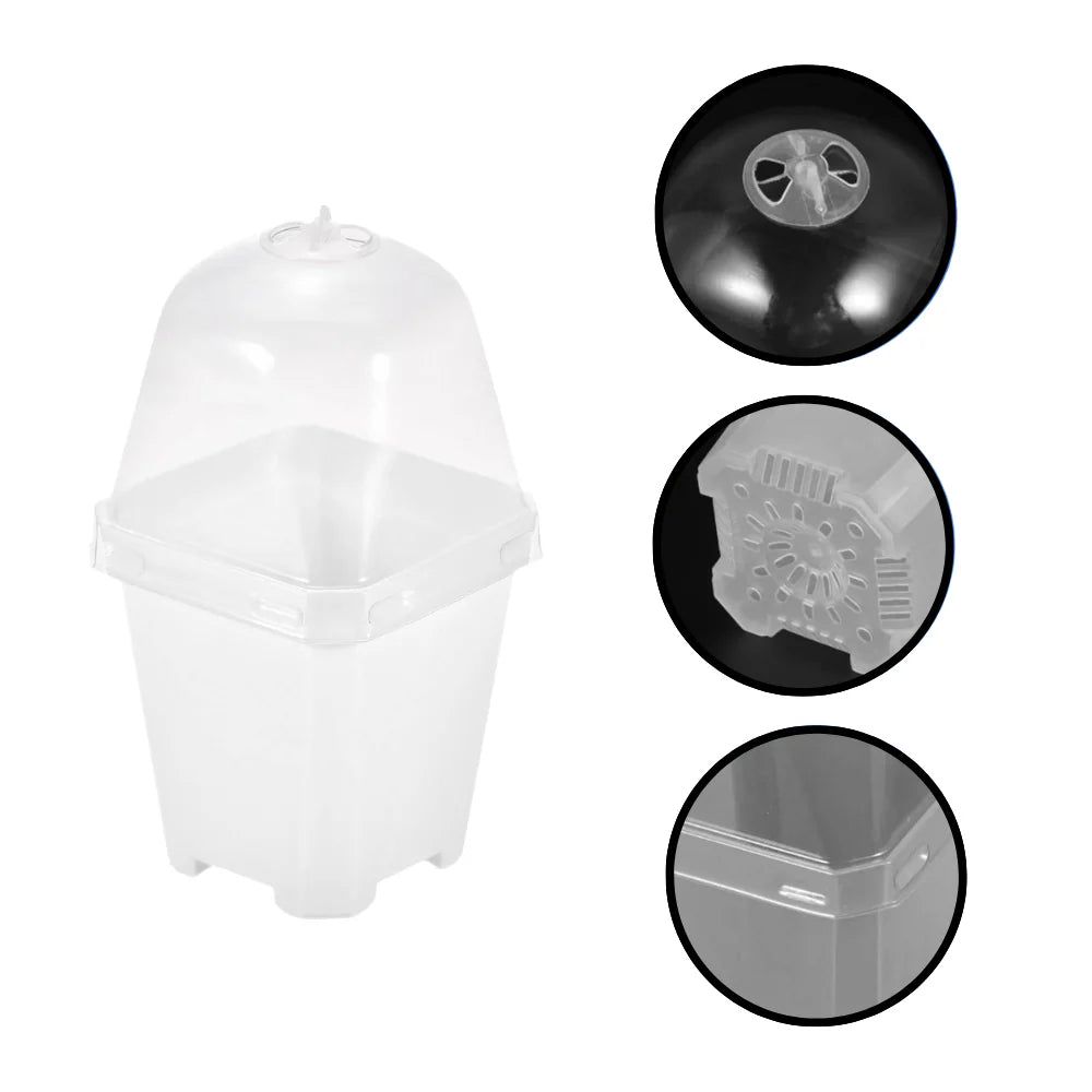 Průhledný květináč s víkem – mini skleník pro zakořenění řízků