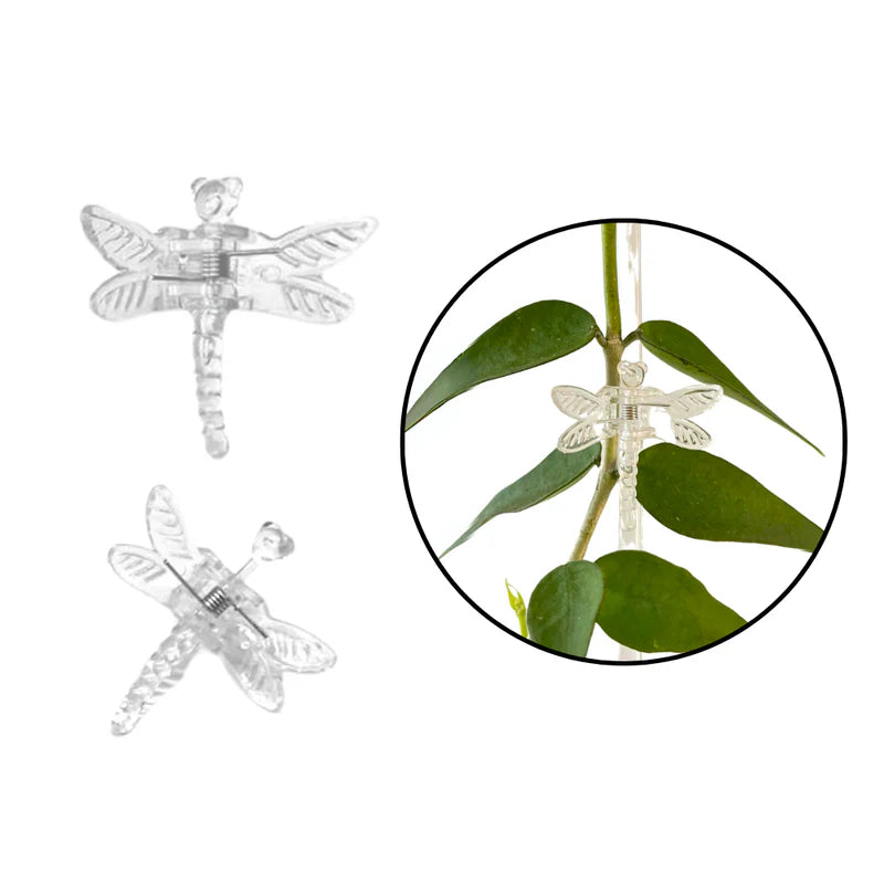 Plant Clips – průhledné spony pro uchycení popínavých rostlin