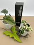 Rain Vibe Bottle 500ml - Florigera